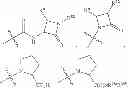 Fig. 156 - BROAD SPECTRUM ANTIBIOTICS