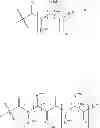 Fig. 199 - BROAD SPECTRUM ANTIBIOTICS