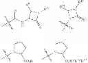 Fig. 205 - BROAD SPECTRUM ANTIBIOTICS