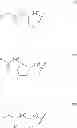 Fig. 236 - BROAD SPECTRUM ANTIBIOTICS