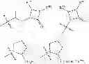 Fig. 306 - BROAD SPECTRUM ANTIBIOTICS