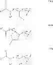 Fig. 34 - BROAD SPECTRUM ANTIBIOTICS