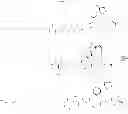 Fig. 406 - BROAD SPECTRUM ANTIBIOTICS