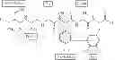Fig. 41 - BROAD SPECTRUM ANTIBIOTICS