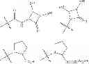 Fig. 44 - BROAD SPECTRUM ANTIBIOTICS