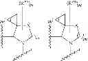 Fig. 104 - Antiviral compounds
