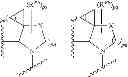 Fig. 50 - Antiviral compounds