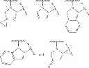 Fig. 561 - Antiviral compounds