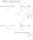 Fig. 655 - Antiviral compounds
