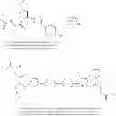 Fig. 764 - Antiviral compounds