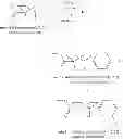 Fig. 906 - Antiviral compounds