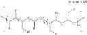 Fig. 13 - INJECTABLE SOLUTION AT PH 7 COMPRISING AT LEAST ONE BASAL INSULIN THE ISOELECTRIC POINT OF WHICH IS BETWEEN 5.8 AND 8.5 AND A HYDROPHOBIZED ANONIC POLYMER