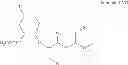 Fig. 19 - INJECTABLE SOLUTION AT PH 7 COMPRISING AT LEAST ONE BASAL INSULIN THE ISOELECTRIC POINT OF WHICH IS BETWEEN 5.8 AND 8.5 AND A HYDROPHOBIZED ANONIC POLYMER