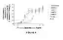 Fig. 03 - Formulations of growth hormone releasing factor (GRF) molecules with improved stability