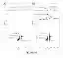 Fig. 11 - Formulations of growth hormone releasing factor (GRF) molecules with improved stability