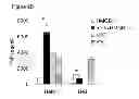 Fig. 07 - USE OF HEMOPEXIN TO SEQUESTER HEMOGLOBIN