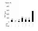 Fig. 10 - USE OF HEMOPEXIN TO SEQUESTER HEMOGLOBIN