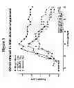 Fig. 02 - METHODS OF TREATING DISEASE WITH RANDOM COPOLYMERS