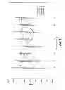 Fig. 07 - Method of administration of gamma hydroxybutyrate with monocarboxylate transporters