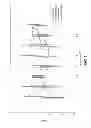 Fig. 09 - Method of administration of gamma hydroxybutyrate with monocarboxylate transporters