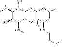 Fig. 82 - Spectinamides as anti-tuberculosis agents