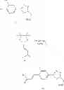 Fig. 147 - Heterocyclic compounds