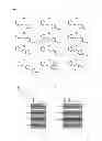 Fig. 04 - Stilbene analogs and methods of treating cancer