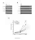 Fig. 05 - Stilbene analogs and methods of treating cancer