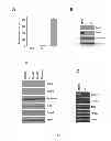 Fig. 09 - Stilbene analogs and methods of treating cancer