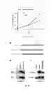 Fig. 19 - Stilbene analogs and methods of treating cancer