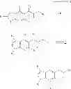 Fig. 03 - Antiviral pyrrolopyridine derivatives and method for preparing the same