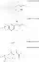 Fig. 04 - Antiviral pyrrolopyridine derivatives and method for preparing the same