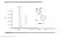 Fig. 02 - Compounds