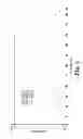 Fig. 04 - Anhydrate of tiotropium bromide