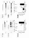 Fig. 07 - TAU AGGREGATION INHIBITOR