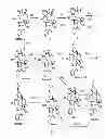 Fig. 02 - Taxane compounds, compositions and methods