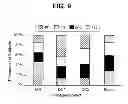 Fig. 06 - Fast Dissolving Tablet
