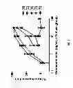 Fig. 02 - 7-azoniabicyclo[2.2.1]heptane derivatives, methods of production, and pharmaceutical uses thereof