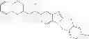 Fig. 23 - N-BENZYLBENZIMIDAZOLE MODULATORS OF PPARG