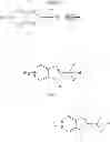Fig. 64 - Indole derivatives as selective androgen receptor modulators (SARMS)
