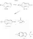 Fig. 67 - Indole derivatives as selective androgen receptor modulators (SARMS)