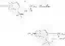 Fig. 82 - Indole derivatives as selective androgen receptor modulators (SARMS)