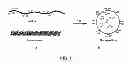 Fig. 02 - Targeted nanoparticles