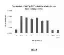 Fig. 09 - Targeted nanoparticles