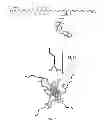 Fig. 16 - Targeted nanoparticles