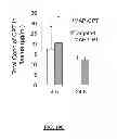 Fig. 22 - Targeted nanoparticles