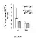 Fig. 23 - Targeted nanoparticles