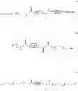 Fig. 44 - Targeted nanoparticles
