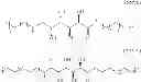 Fig. 49 - Targeted nanoparticles