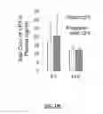 Fig. 22 - Nanoparticles stabilized with nitrophenylboronic acid compositions